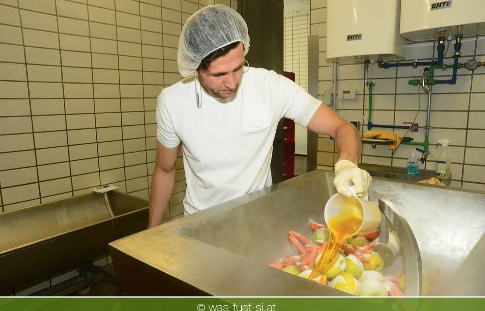 Hundefutter darf auch Bio sein