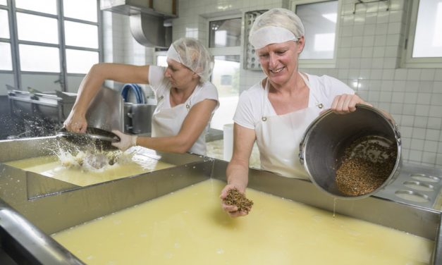 Biokäse mit Lieferservice