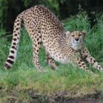 Familienerlebnis Tierpark