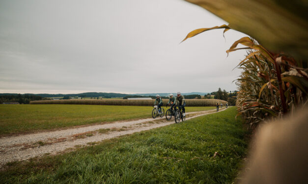 Trendsport Gravelbiken startet erfolgreich im Mühlviertel