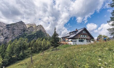 Energiedächer aus Mühlviertel für Luxus-Hotel in Deutschland