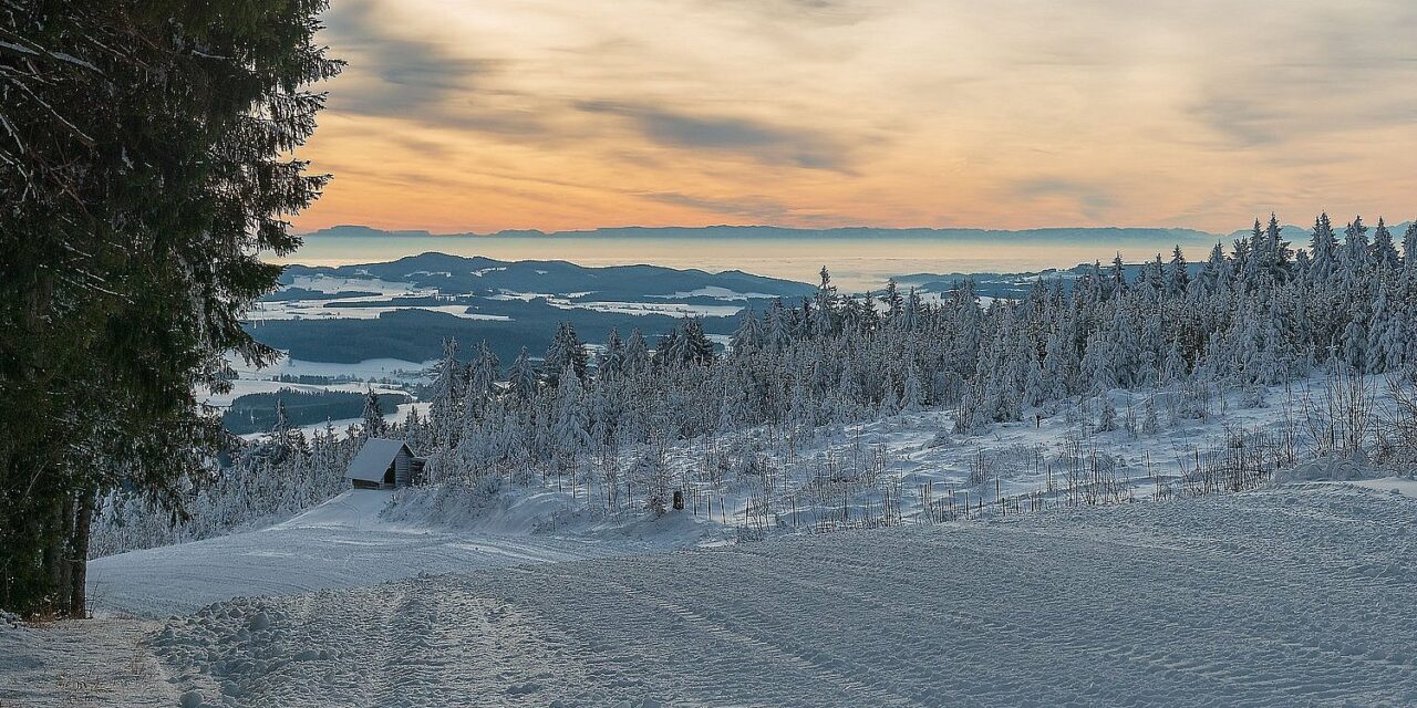 Winterzauber im Mühlviertel