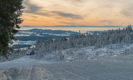 Winterzauber im Mühlviertel