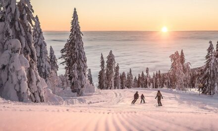 Mehr Winter, weniger Anreise: Willkommen im Mühlviertel!