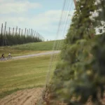 Mühlviertel setzt 2026 auf Radtourismus