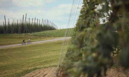 Mühlviertel setzt 2026 auf Radtourismus