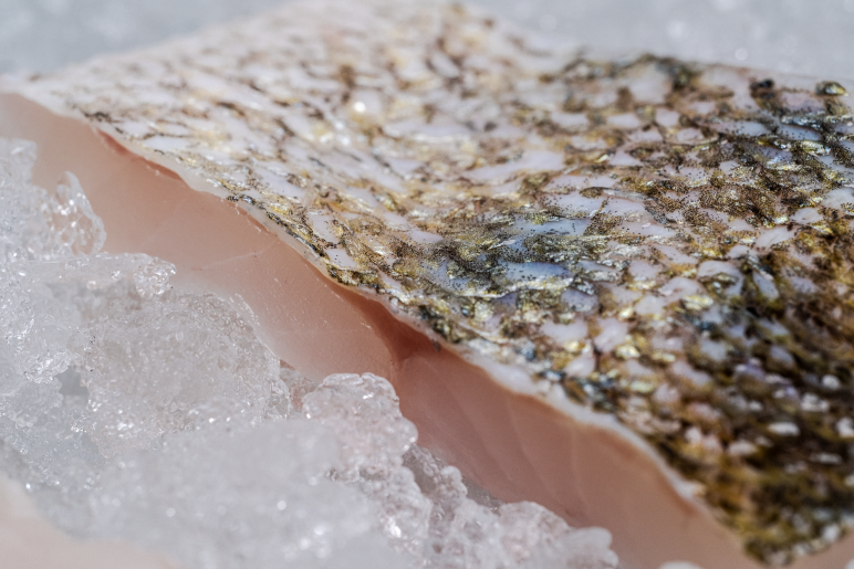 Böhmerwald Fisch Produkt