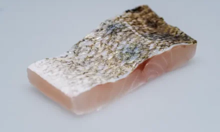 Österreichs frischester Zander kommt aus dem Mühlviertel