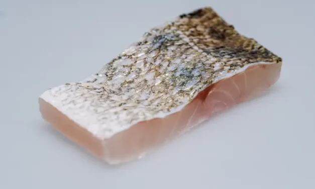 Österreichs frischester Zander kommt aus dem Mühlviertel