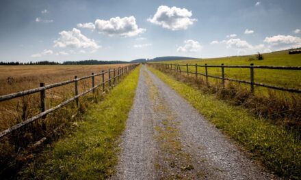 Neuer Pilgerweg stärkt den sanften Tourismus im Mühlviertel
