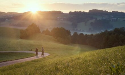 Neue Bier-Radtouren verbinden Mühlviertel und Niederbayern