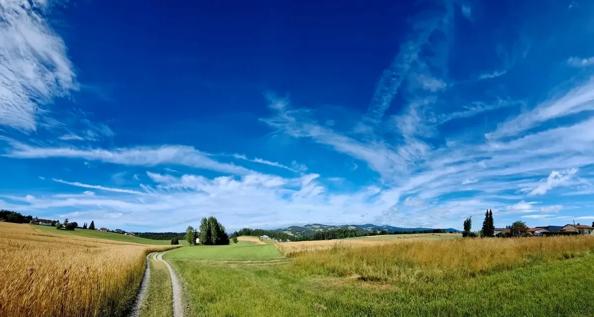 Auszeichnung „Regional & Digital“ für wetter-muehlviertel.at