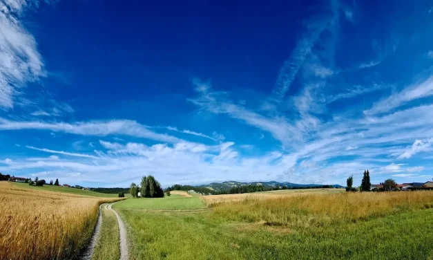 Auszeichnung „Regional & Digital“ für wetter-muehlviertel.at
